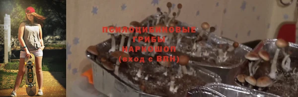 кокс Армянск