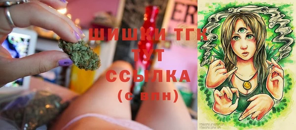 Альфа ПВП Аркадак